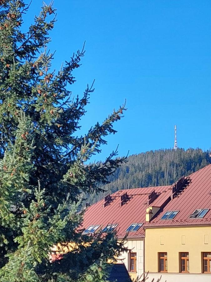 Goscinne Centrum Brzozowa 14 Homestay *